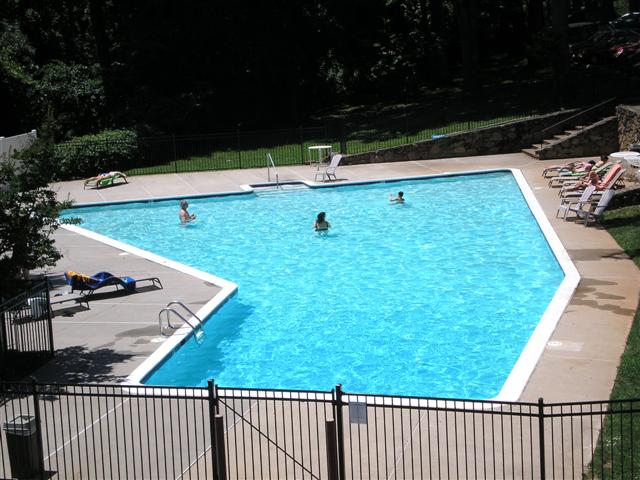 beautiful pool