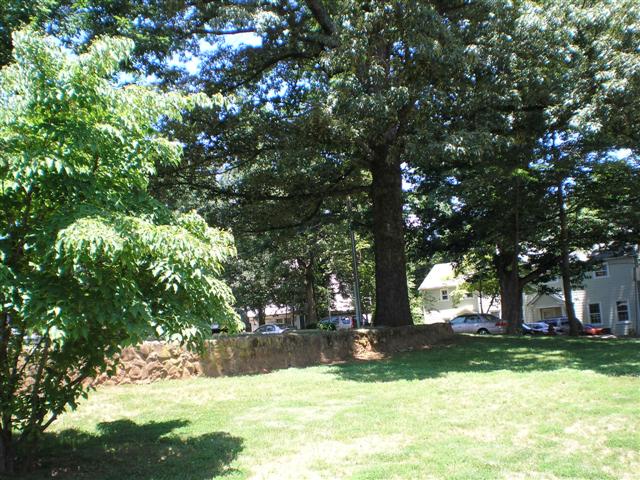 mature landscaping