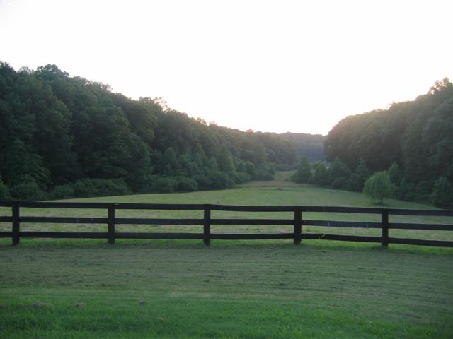 private views