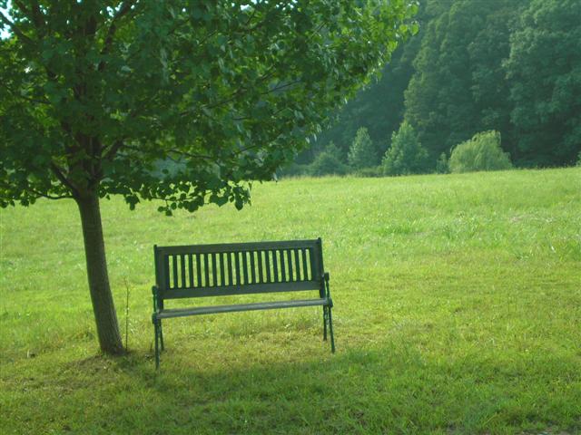 enjoy the country