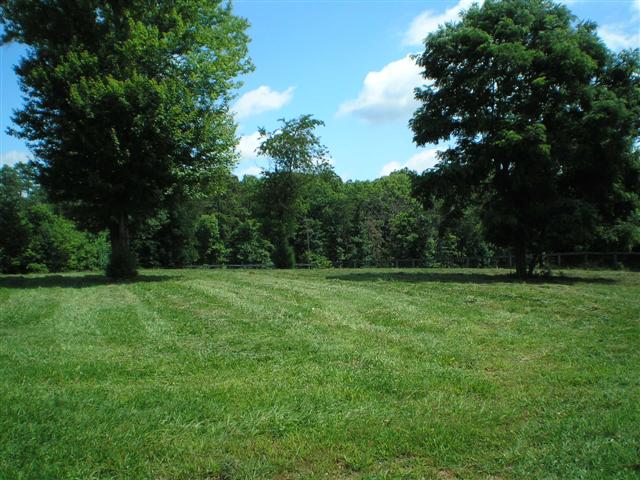 your horses will love the pasture