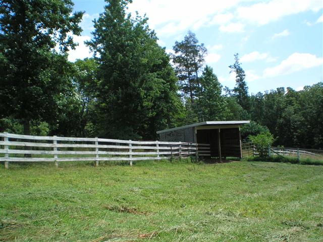 paddock w/ run-in