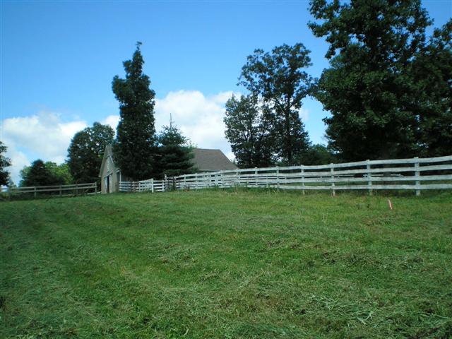 grassy paddocks