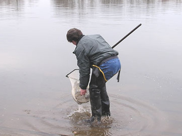 Angler in Colonial Lake Park