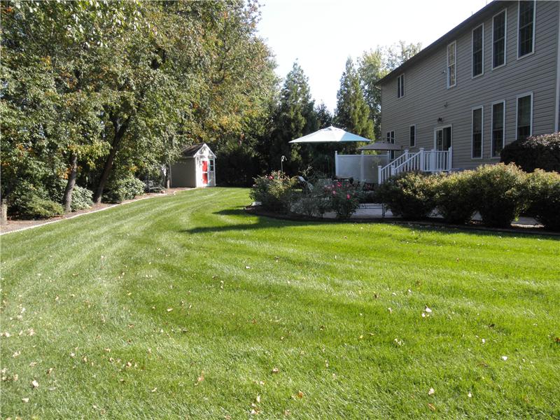 Back yard and lawn