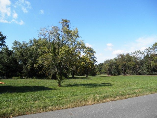 View from porch