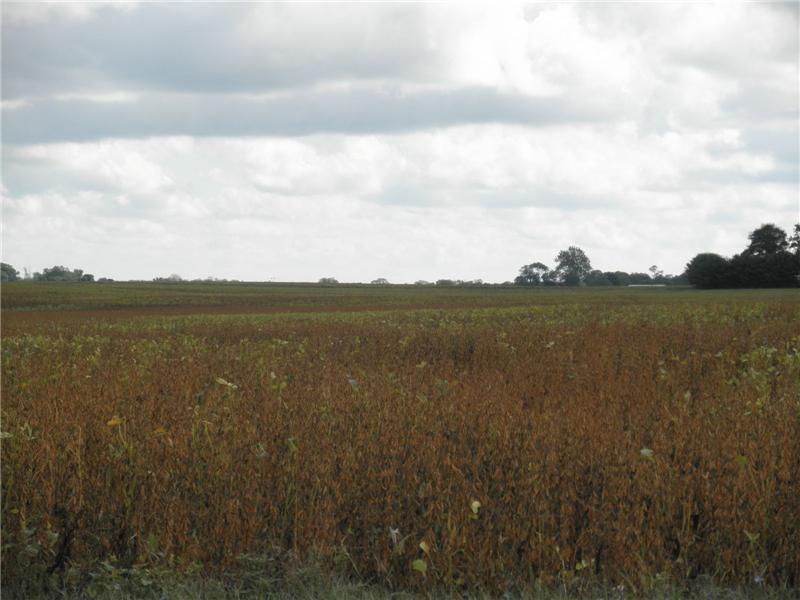 Chesterfield Twp farmland