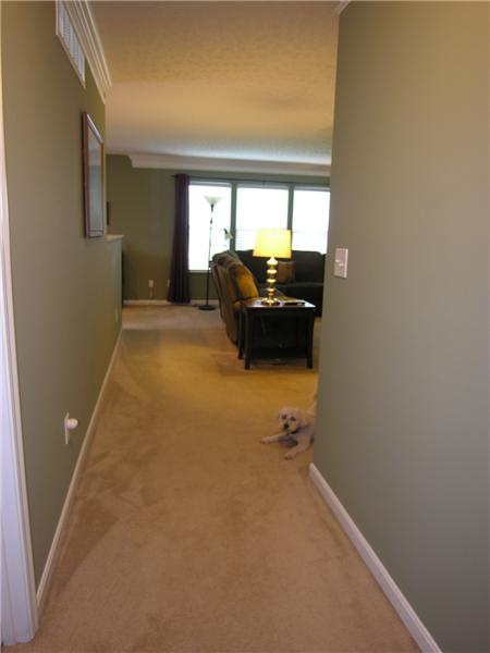 spacious hallways