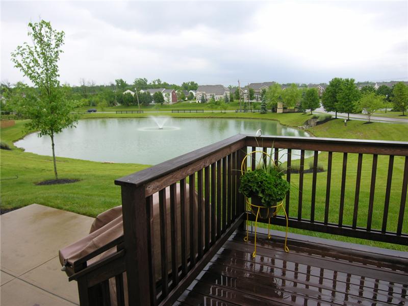 Backyard view, pond with fountain