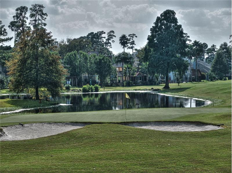 Included in the view is the pond on this hole!