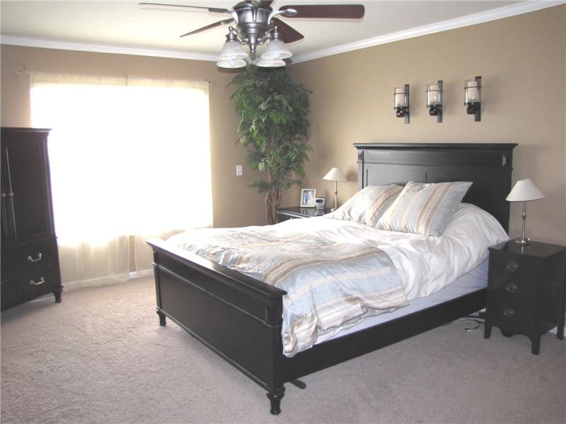 Master Suite with Walk-In Closet, Crown Moulding, Ceiling Fan