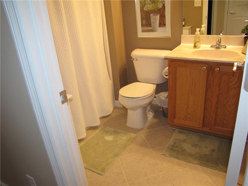 Hall Bath w/Tile Floor new fixtures and lights
