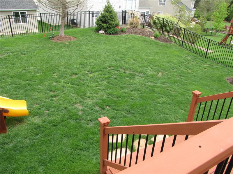 Landscaped , Fenced Back Yard