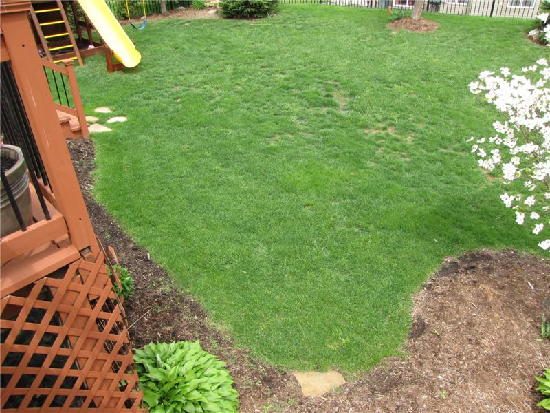 Professionally  Landscaped Back Yard