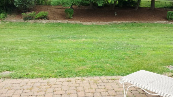 Big Flat Back yard for family Fun!
