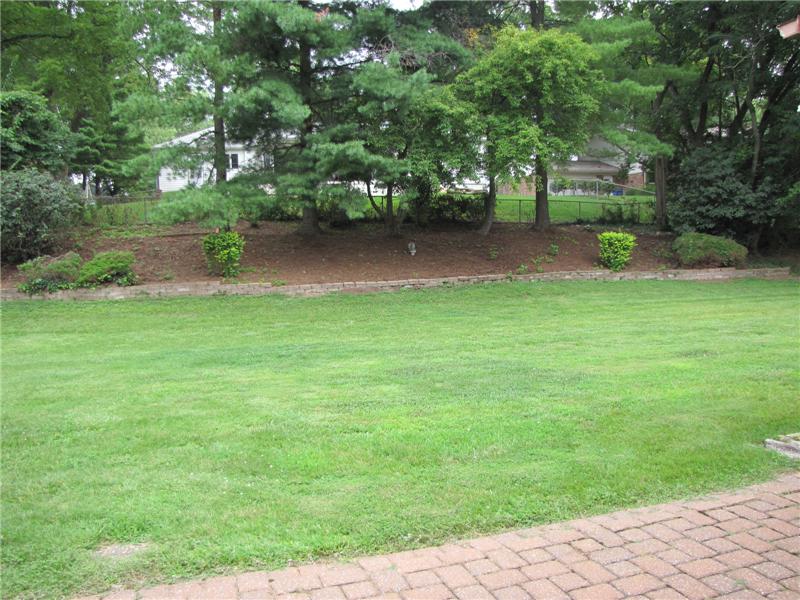 Great Back yard