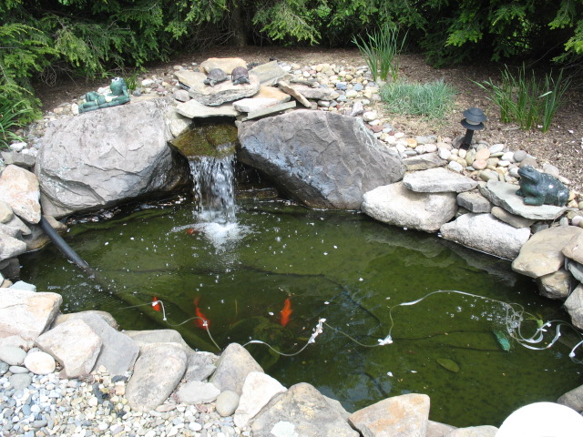 fishpond