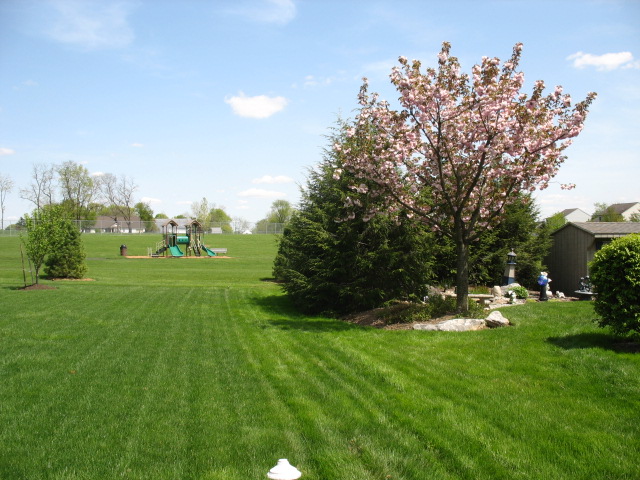 side view to Lafayette Park