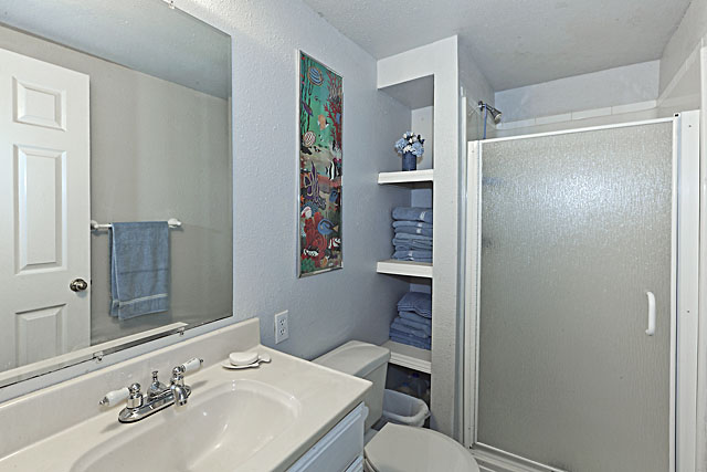 Lower level bathroom