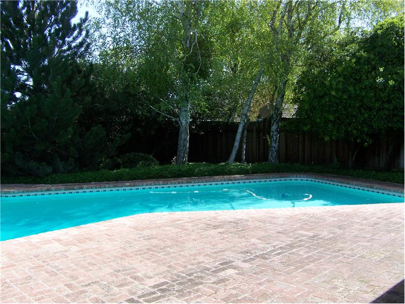Pool and Patio
