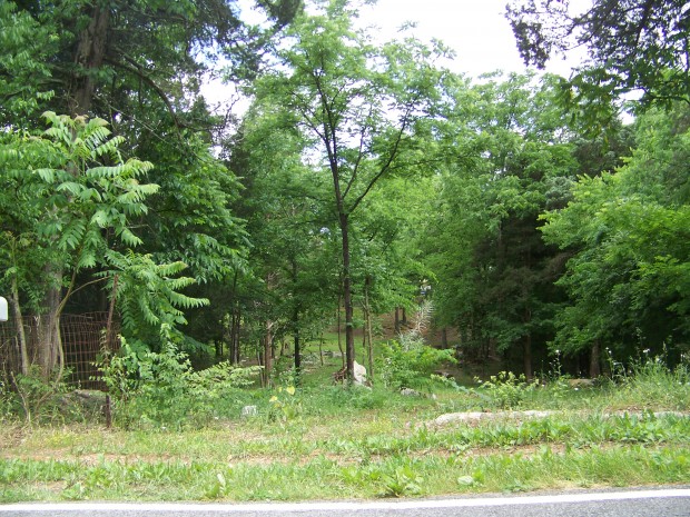 Road frontage - Saint Paul Rd