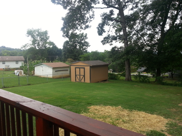 Backyard