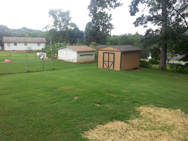 Fenced Backyard