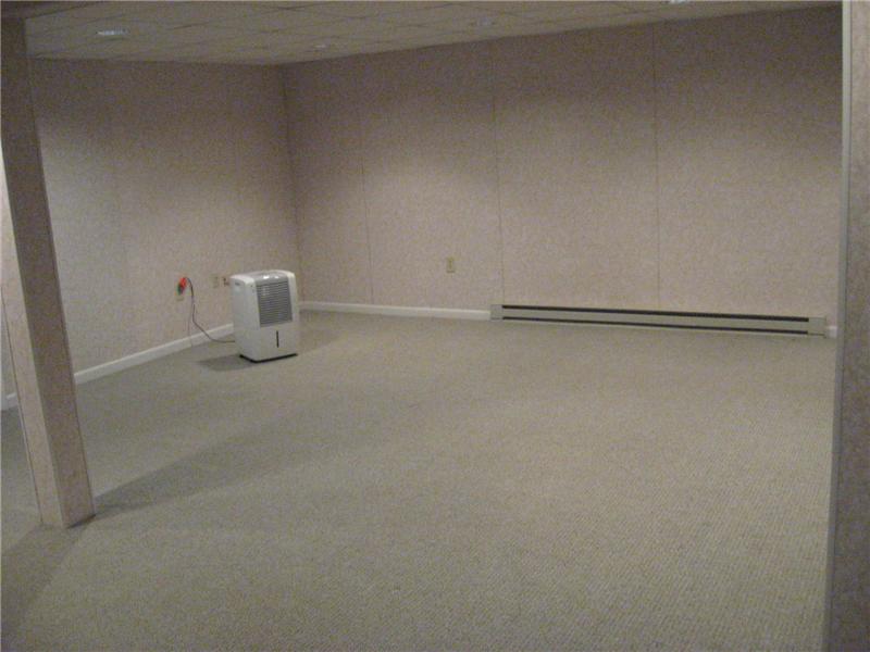 Finished family room in lower level.