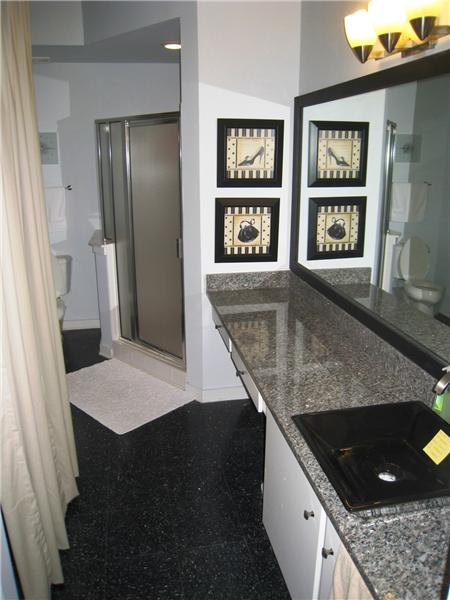 Upgraded Bathroom with Granite Counter!