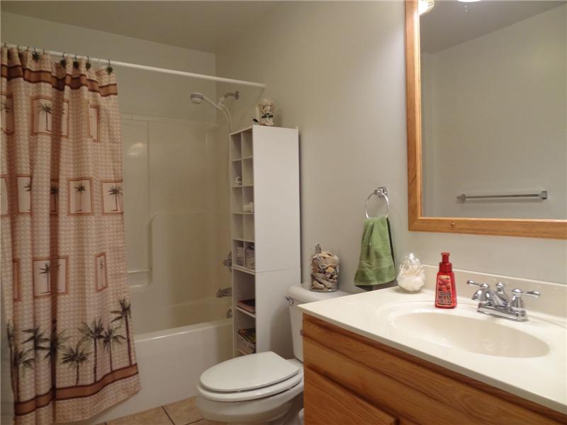 Main level hall bath