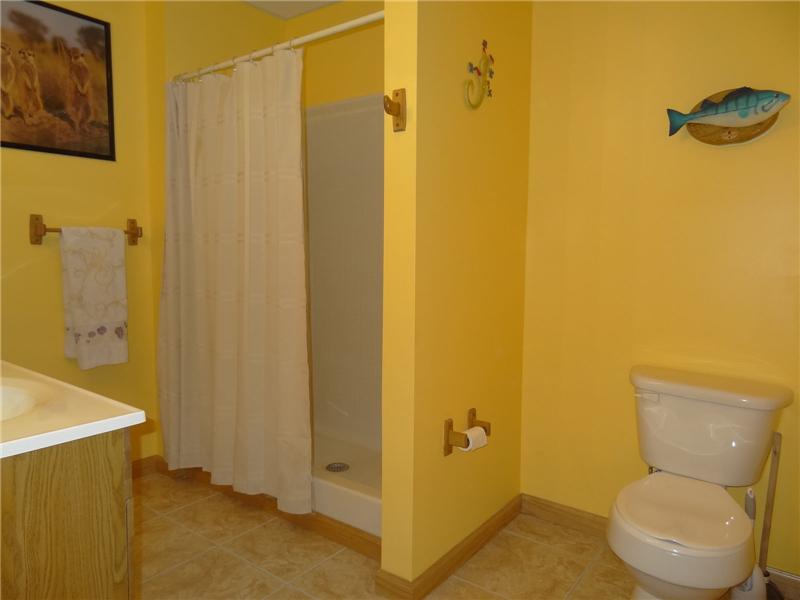 Lower Level bath