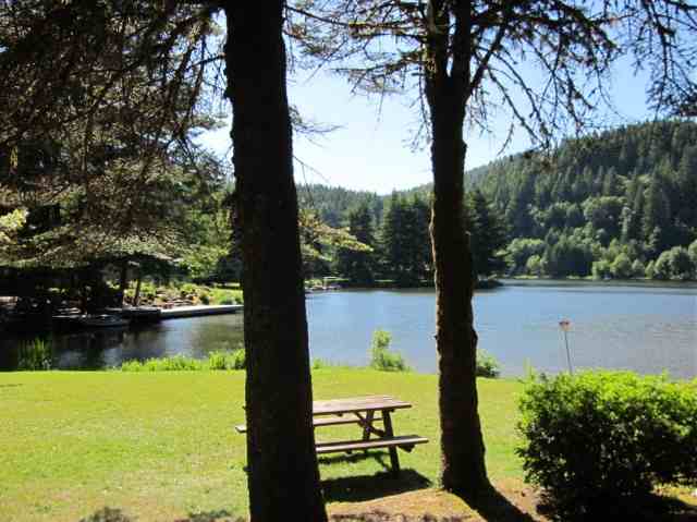 Pinic grounds at Fishhawk Lake