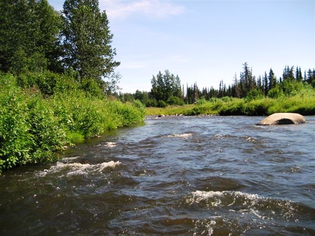 Beautiful River Property