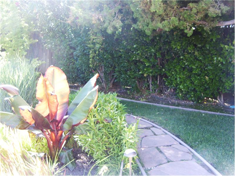 Wonderful Tropical Getaway Feeling!