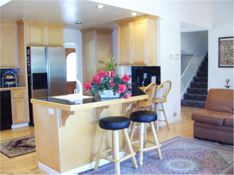 Stainless Steel Fridge with IceMaker & Water Dispenser