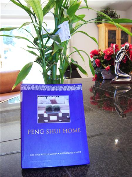 Auspicious Home Faces East! Good Feng Shui, Too!