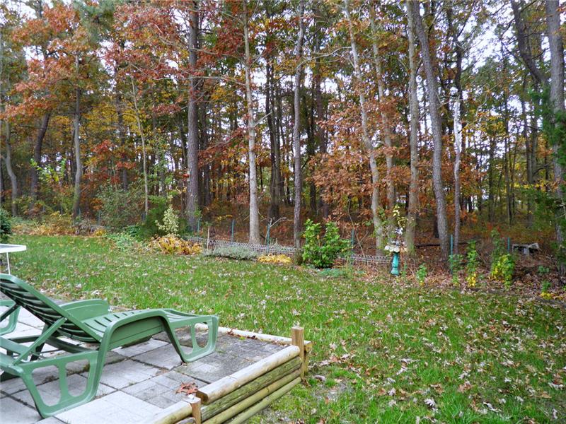 backyard view