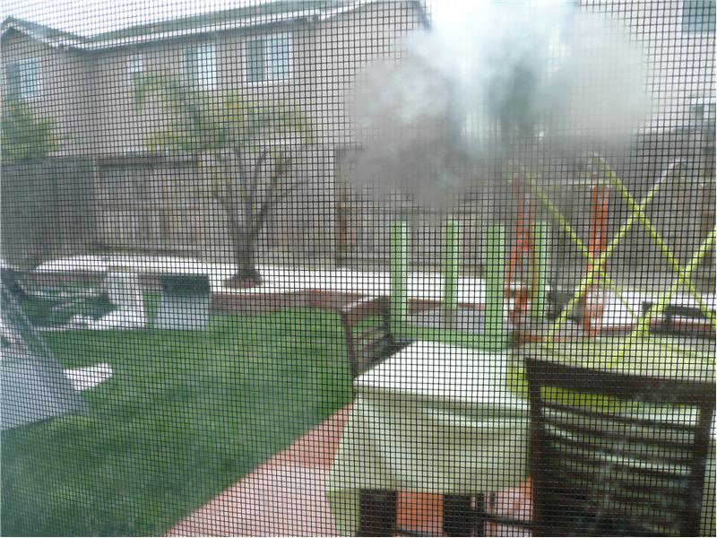 Backyard- very rainy