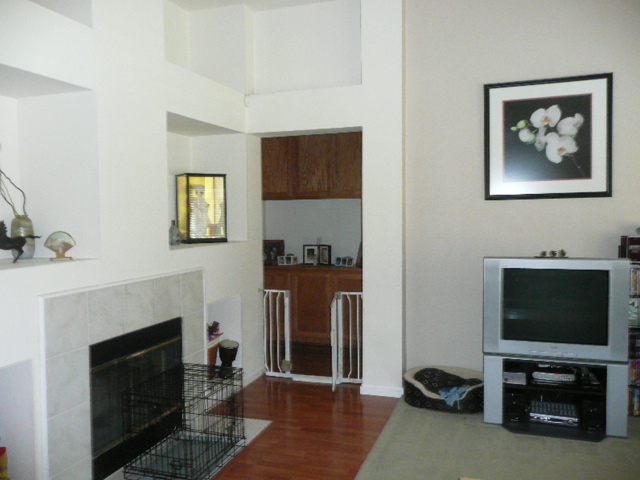 Fireplace in the family room