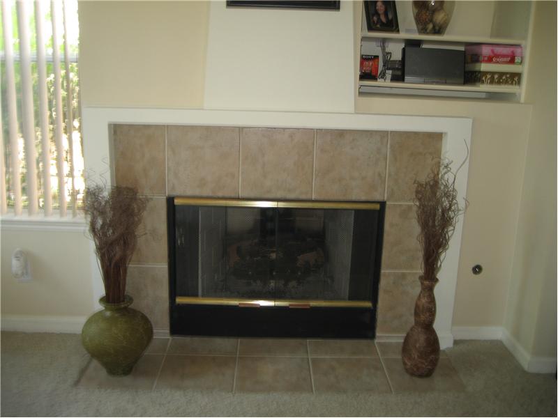Wood Burning Fireplace with Gas Starter