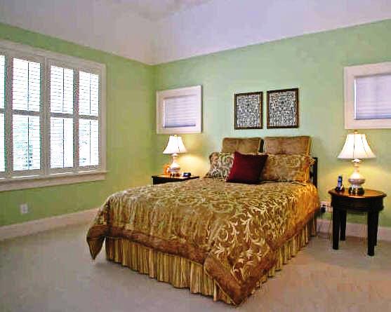 The master bedroom has wall-to-wall carpet, a trey ceiling and plantation shutters