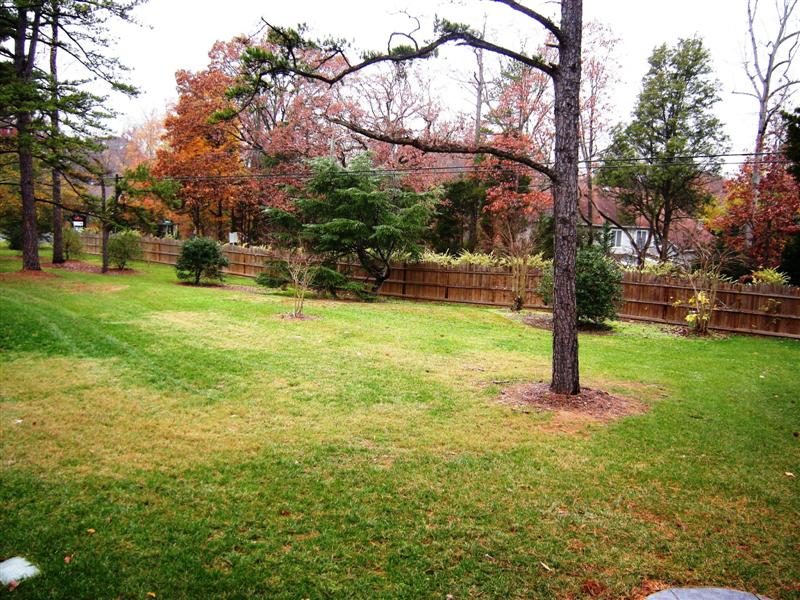 The backyard has mature hardwoods and fence