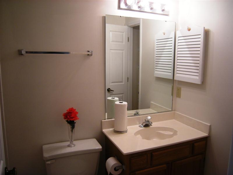 Master bath has fresh paint and vanity with medicine cabinet