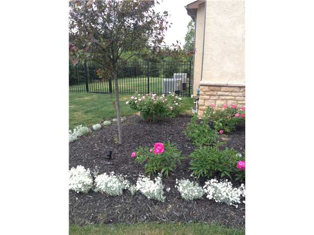 Beautiful mature landscaping added by the current owner