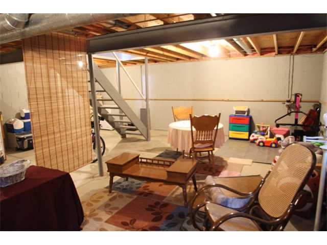 Basement/Lower Level