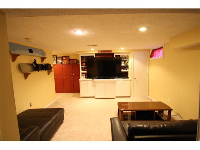 Finished Lower Level