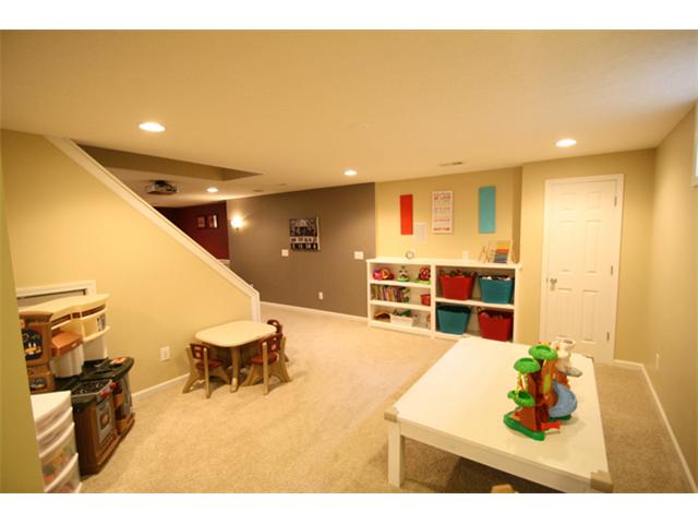 Finished Lower Level