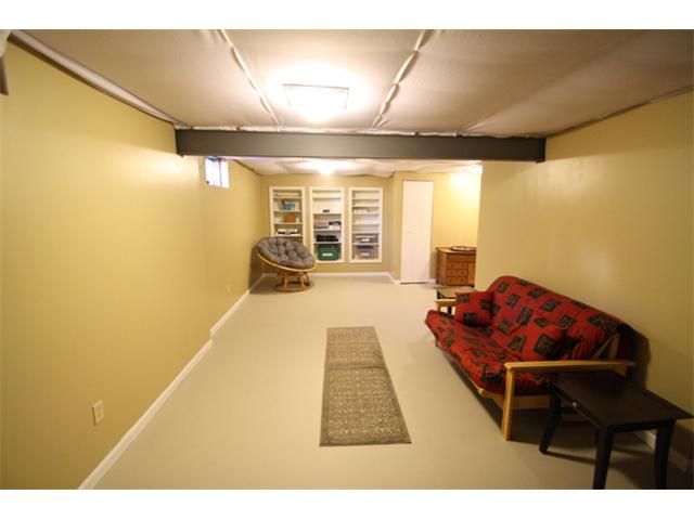 Finished Lower Level