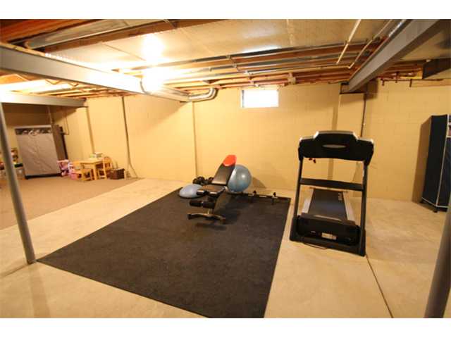Basement/Lower Level