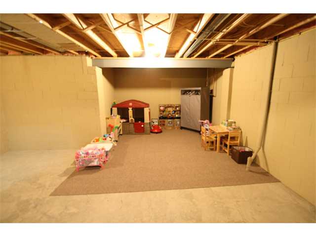 Basement/Lower Level